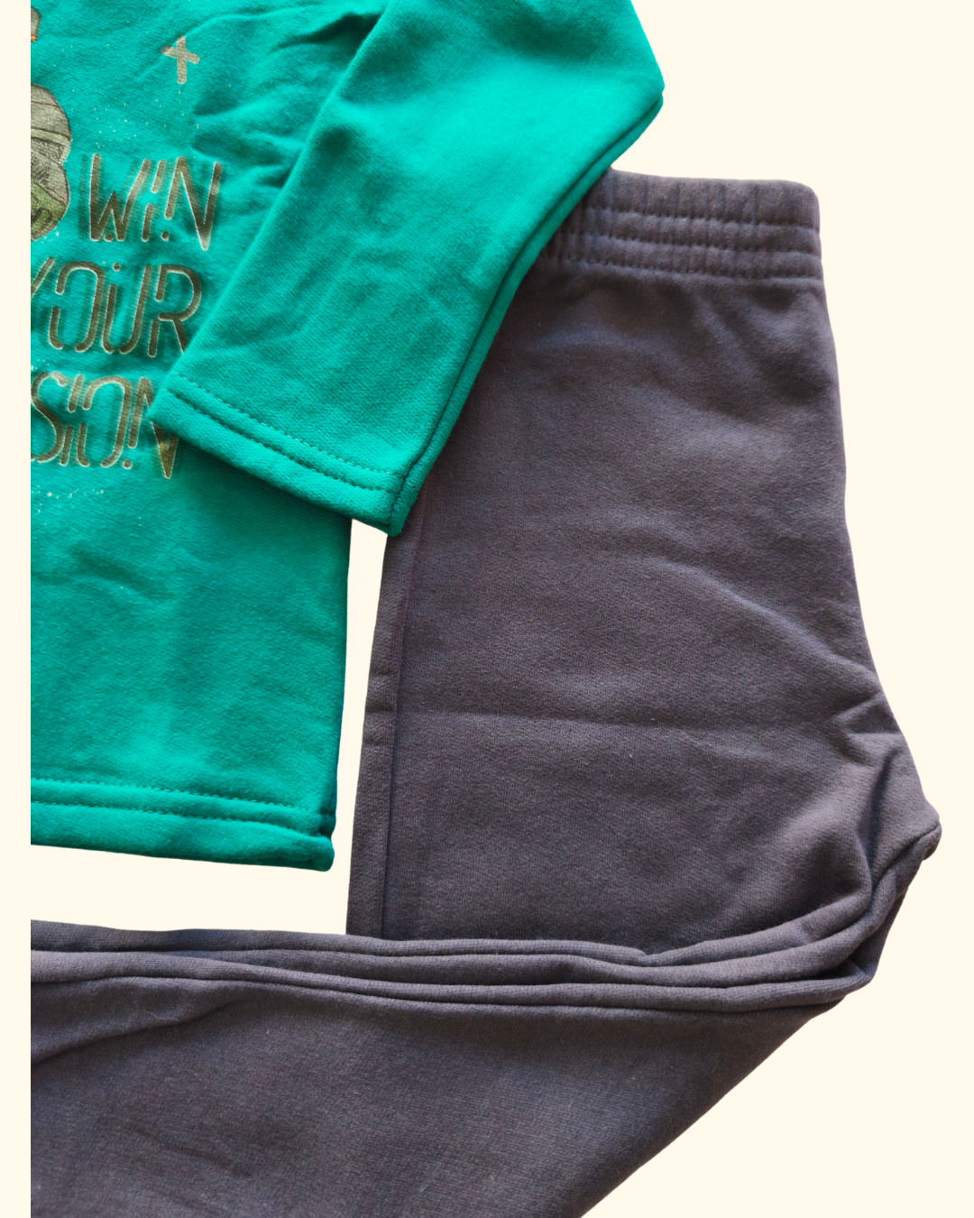 Conjunto blusão e calça jogger astro dino
