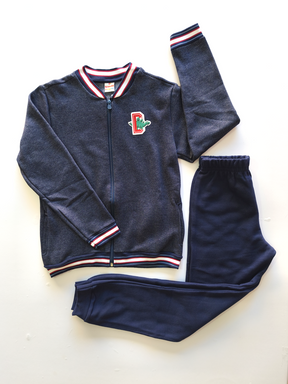 Conjunto jaqueta e calça jogger dinossauro
