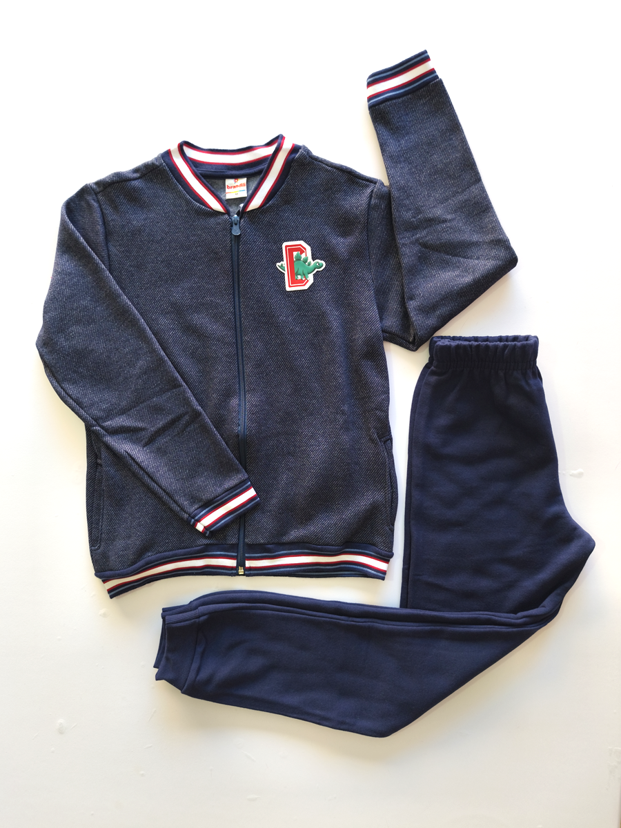 Conjunto jaqueta e calça jogger dinossauro
