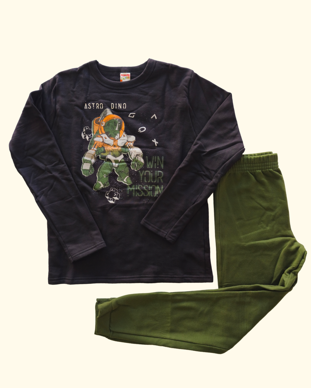 Conjunto blusão e calça jogger astro dino