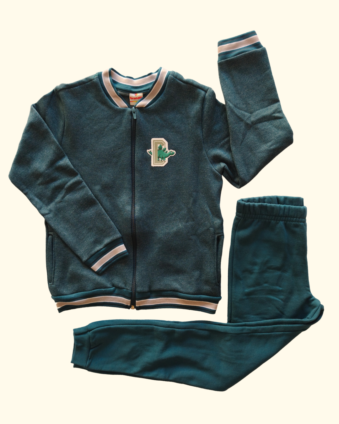 Conjunto jaqueta e calça jogger dinossauro