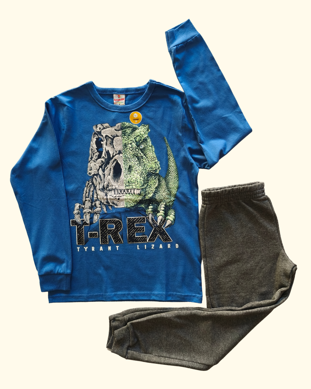 Conjunto camiseta e calça jogger estampa  T-Rex 3D